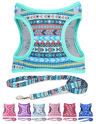 Moonpet Step in Air Hundegeschirr Leine Set – Reflektierendes Blumenmuster gepolsterte Netzweste Geschirr für Katzen, Welpen, extra kleine, kleine, mittelgroße Hunde - Maya-Mysterium - M von Moonpet