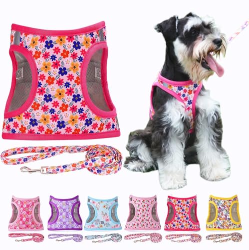 Moonpet Step in Air Hundegeschirr Leine Set – Reflektierendes Blumenmuster gepolsterte Netzweste Geschirr für Katzen, Welpen, extra kleine, kleine, mittelgroße Hunde-Romantisches Sakura - XS von Moonpet