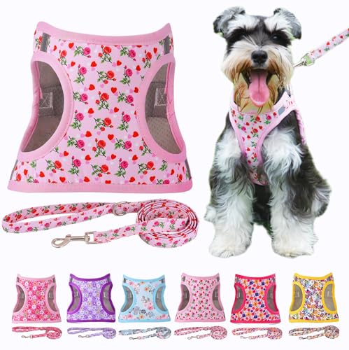 Moonpet Step in Air Hundegeschirr Leine Set – Reflektierendes Blumenmuster gepolsterte Netzweste Geschirr für Katzen, Welpen, extra kleine, kleine, mittelgroße Hunde-Herz Rose – XL von Moonpet