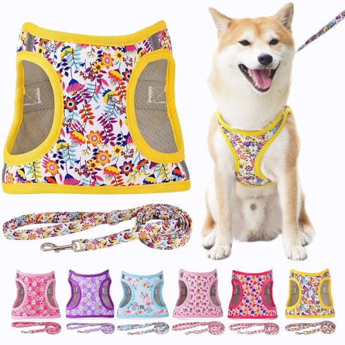 Moonpet Step in Air Hundegeschirr Leine Set – Reflektierendes Blumenmuster gepolsterte Netzweste Geschirr für Katzen, Welpen, extra kleine, kleine, mittelgroße Hunde-weiße Blume, M Moonpet Step in Air Hundegeschirr Leine Set – Reflektierendes Blumenmuster gepolsterte Netzweste Geschirr für Katzen, Welpen, extra kleine, kleine, mittelgroße Hunde-weiße Blume, M von Moonpet