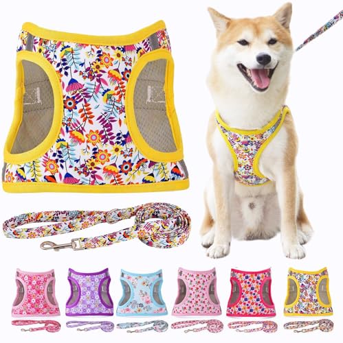 Moonpet Step in Air Hundegeschirr Leine Set – Reflektierendes Blumenmuster gepolsterte Netzweste Geschirr für Katzen, Welpen, extra kleine, kleine, mittelgroße Hunde-weiße Blume, M von Moonpet