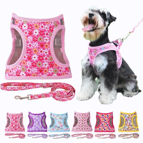 Moonpet Step in Air Hundegeschirr Leine Set – Reflektierendes Blumenmuster gepolsterte Netzweste Geschirr für Katzen, Welpen, extra kleine, kleine, mittelgroße Hunde-Rosa Blume -L von Moonpet