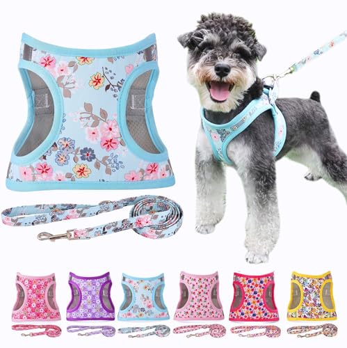 Moonpet Step in Air Hundegeschirr Leine Set – Reflektierendes Blumenmuster gepolsterte Netzweste Geschirr für Katzen, Welpen, extra kleine, kleine, mittelgroße Hunde-Glockenorchidee - S von Moonpet
