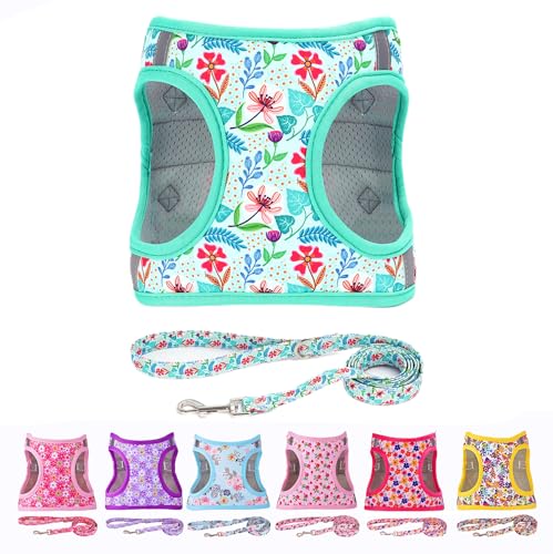 Moonpet Step-in-Hundegeschirr-Set mit Leine, wetterfest, reflektierend, zugfest, Blumenmuster, gepolstert, Mesh, für Katzen, Welpen, extra kleine, kleine, mittelgroße & große Hunde, grün, Blumen, L Moonpet Step-in-Hundegeschirr-Set mit Leine, wetterfest, reflektierend, zugfest, Blumenmuster, gepolstert, Mesh, für Katzen, Welpen, extra kleine, kleine, mittelgroße & große Hunde, grün, Blumen, L von Moonpet