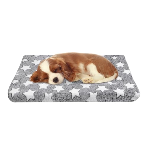 MoonxHome Hundebox-Matten, Hundebett-Matte, Katzenmatte, 60 x 40 cm, kurze Plüsch-Haustiermatte, Kistenmatte für kleine Hunde, 4 cm dicke, dünne Hundematte, maschinenwaschbar, ideal für 60 cm MoonxHome Hundebox-Matten, Hundebett-Matte, Katzenmatte, 60 x 40 cm, kurze Plüsch-Haustiermatte, Kistenmatte für kleine Hunde, 4 cm dicke, dünne Hundematte, maschinenwaschbar, ideal für 60 cm von MoonxHome