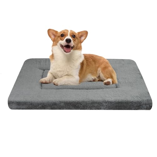 MoonxHome Hundebox-Matten, Hundebett-Matte, Katzenmatte, 75 x 50 cm, kurze Plüsch-Haustiermatte, Kistenmatte für kleine Hunde, 4 cm dicke, dünne Hundematte, maschinenwaschbar, ideal für 75 cm MoonxHome Hundebox-Matten, Hundebett-Matte, Katzenmatte, 75 x 50 cm, kurze Plüsch-Haustiermatte, Kistenmatte für kleine Hunde, 4 cm dicke, dünne Hundematte, maschinenwaschbar, ideal für 75 cm von MoonxHome