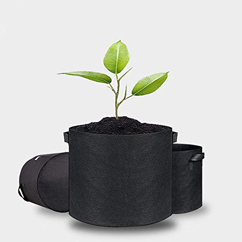 MoonyLi 5 Stück Pflanzsack aus Vliesstoff- mit Riemengriffen,Pflanzen wachsen Taschen für Gärtnerei und Wachsen der Pflanzung, Beste Wurzelbehandlung 3Gallons MoonyLi 5 Stück Pflanzsack aus Vliesstoff- mit Riemengriffen,Pflanzen wachsen Taschen für Gärtnerei und Wachsen der Pflanzung, Beste Wurzelbehandlung 3Gallons von LUMoony