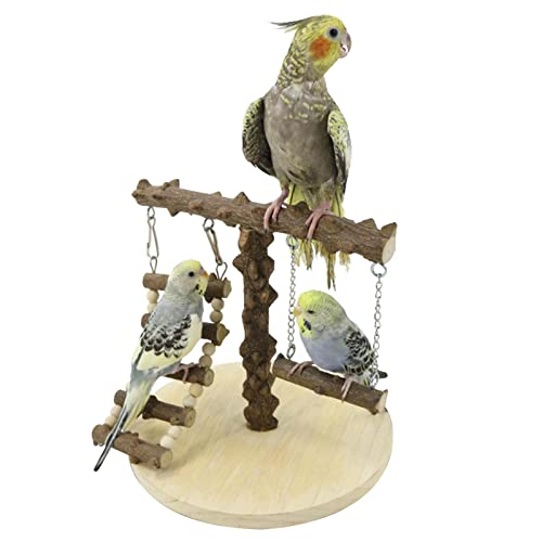 Moonyan Vogel-Spielständer, Papageien-Spielständer aus Holz, Papageien-Trainingsständer mit Leiter und Schaukel-Sittich-Spielplatz für Käfig von Moonyan