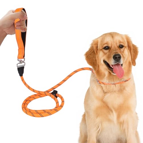 Moorle Retrieverleine für Hunde, 1,5 m Retrieverleine Hundeleine mit reflektierenden Nähten, Hundeseilleinen für kleine, mittelgroße Hunde Moorle Retrieverleine für Hunde, 1,5 m Retrieverleine Hundeleine mit reflektierenden Nähten, Hundeseilleinen für kleine, mittelgroße Hunde von Moorle