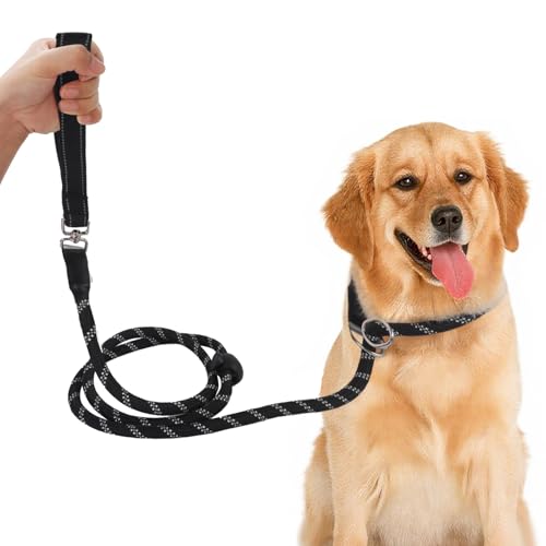 Moorle Retrieverleine für Hunde, 1,5 m Retrieverleine Hundeleine mit reflektierenden Nähten, Hundeseilleinen für kleine, mittelgroße Hunde Moorle Retrieverleine für Hunde, 1,5 m Retrieverleine Hundeleine mit reflektierenden Nähten, Hundeseilleinen für kleine, mittelgroße Hunde von Moorle