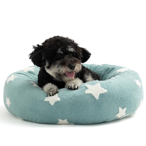 Mora Pets Donut kleines Hundebett, rundes Katzenbett für Hauskatzen mit waschbarem, abnehmbarem Bezug, niedlich, beruhigend, flauschig, kreisförmig, Anti-Angst, für Hunde, Welpen, Katzen, Blau, 58,4 Mora Pets Donut kleines Hundebett, rundes Katzenbett für Hauskatzen mit waschbarem, abnehmbarem Bezug, niedlich, beruhigend, flauschig, kreisförmig, Anti-Angst, für Hunde, Welpen, Katzen, Blau, 58,4 von Mora Pets