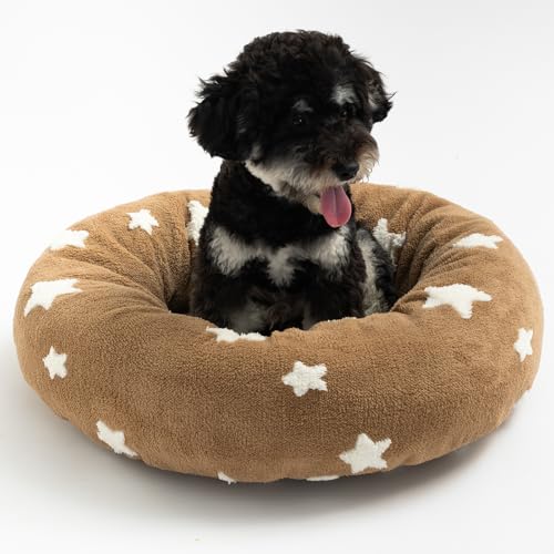 Mora Pets Donut kleines Hundebett, rundes Katzenbett für Hauskatzen mit waschbarem, abnehmbarem Bezug, niedlich, beruhigend, flauschig, kreisförmig, Anti-Angst, für Hunde, Welpen, Katzen, Braun, 58,4 Mora Pets Donut kleines Hundebett, rundes Katzenbett für Hauskatzen mit waschbarem, abnehmbarem Bezug, niedlich, beruhigend, flauschig, kreisförmig, Anti-Angst, für Hunde, Welpen, Katzen, Braun, 58,4 von Mora Pets