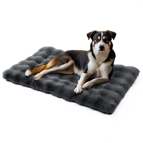 Mora Pets Hundebett Flauschig Hundedecke Waschbar Hundematte Hundekissen Weiches und Warmes für Kleine Mittelgroße Grosse Hunde Decke Kuschelig und rutschfest Dunkelgrau 76 x 48 cm Mora Pets Hundebett Flauschig Hundedecke Waschbar Hundematte Hundekissen Weiches und Warmes für Kleine Mittelgroße Grosse Hunde Decke Kuschelig und rutschfest Dunkelgrau 76 x 48 cm von Mora Pets