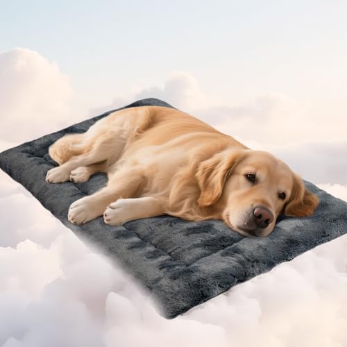 Mora Pets Hundedecke Flauschig Hundematte Waschbar und rutschfest Hundekissen für Kleine Mittelgroße Grosse Hundebett Weiches und Kuschelig Hunde Decke, 104x 69 cm Mora Pets Hundedecke Flauschig Hundematte Waschbar und rutschfest Hundekissen für Kleine Mittelgroße Grosse Hundebett Weiches und Kuschelig Hunde Decke, 104x 69 cm von Mora Pets