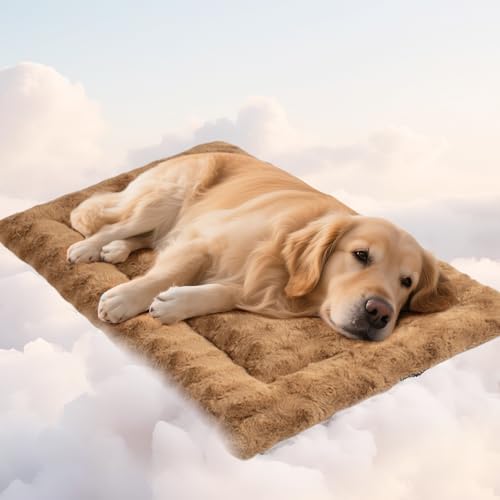 Mora Pets Hundedecke Flauschig Hundematte Waschbar und rutschfest Hundekissen für Kleine Mittelgroße Grosse Hundebett Weiches und Kuschelig Hunde Decke, 104x 69 cm Mora Pets Hundedecke Flauschig Hundematte Waschbar und rutschfest Hundekissen für Kleine Mittelgroße Grosse Hundebett Weiches und Kuschelig Hunde Decke, 104x 69 cm von Mora Pets