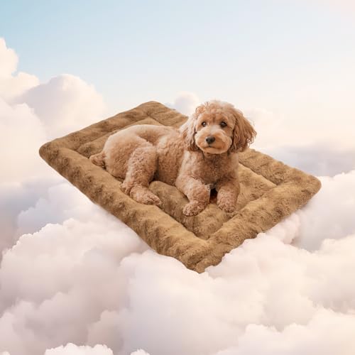 Mora Pets Hundedecke Flauschig Hundematte Waschbar und rutschfest Hundekissen für Kleine Mittelgroße Grosse Hundebett Weiches und Kuschelig Hunde Decke, 60 x 45 cm Mora Pets Hundedecke Flauschig Hundematte Waschbar und rutschfest Hundekissen für Kleine Mittelgroße Grosse Hundebett Weiches und Kuschelig Hunde Decke, 60 x 45 cm von Mora Pets
