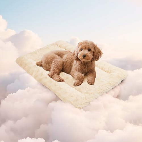 Mora Pets Hundedecke Flauschig Hundematte Waschbar und rutschfest Hundekissen für Kleine Mittelgroße Grosse Hundebett Weiches und Kuschelig Hunde Decke, 60 x 45 cm Mora Pets Hundedecke Flauschig Hundematte Waschbar und rutschfest Hundekissen für Kleine Mittelgroße Grosse Hundebett Weiches und Kuschelig Hunde Decke, 60 x 45 cm von Mora Pets