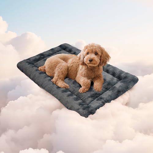 Mora Pets Hundedecke Flauschig Hundematte Waschbar und rutschfest Hundekissen für Kleine Mittelgroße Grosse Hundebett Weiches und Kuschelig Hunde Decke, 60 x 45 cm Mora Pets Hundedecke Flauschig Hundematte Waschbar und rutschfest Hundekissen für Kleine Mittelgroße Grosse Hundebett Weiches und Kuschelig Hunde Decke, 60 x 45 cm von Mora Pets