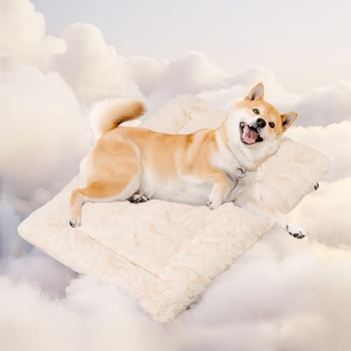 Mora Pets Hundedecke Flauschig Hundematte Waschbar und rutschfest Hundekissen für Kleine Mittelgroße Grosse Hundebett Weiches und Kuschelig Hunde Decke, 74 x 46 cm Mora Pets Hundedecke Flauschig Hundematte Waschbar und rutschfest Hundekissen für Kleine Mittelgroße Grosse Hundebett Weiches und Kuschelig Hunde Decke, 74 x 46 cm von Mora Pets