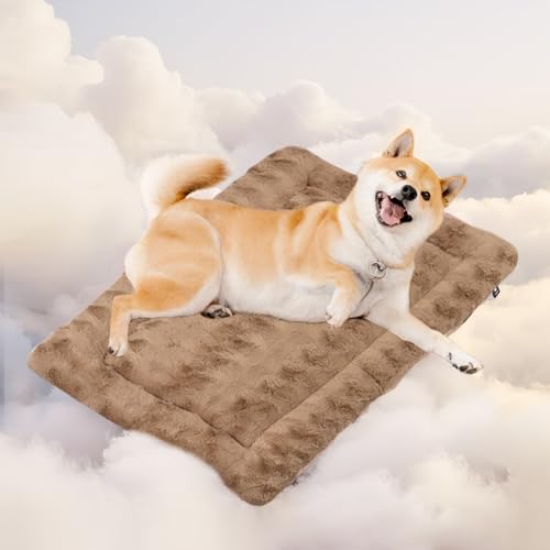 Mora Pets Hundedecke Flauschig Hundematte Waschbar und rutschfest Hundekissen für Kleine Mittelgroße Grosse Hundebett Weiches und Kuschelig Hunde Decke, 74 x 46 cm Mora Pets Hundedecke Flauschig Hundematte Waschbar und rutschfest Hundekissen für Kleine Mittelgroße Grosse Hundebett Weiches und Kuschelig Hunde Decke, 74 x 46 cm von Mora Pets