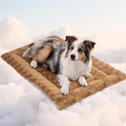 Mora Pets Hundedecke Flauschig Hundematte Waschbar und rutschfest Hundekissen für Kleine Mittelgroße Grosse Hundebett Weiches und Kuschelig Hunde Decke, 89 x 56 cm Mora Pets Hundedecke Flauschig Hundematte Waschbar und rutschfest Hundekissen für Kleine Mittelgroße Grosse Hundebett Weiches und Kuschelig Hunde Decke, 89 x 56 cm von Mora Pets