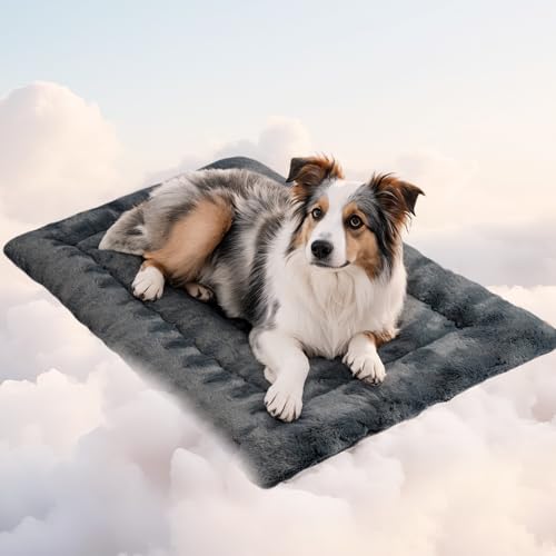 Mora Pets Hundedecke Flauschig Hundematte Waschbar und rutschfest Hundekissen für Kleine Mittelgroße Grosse Hundebett Weiches und Kuschelig Hunde Decke, 89 x 56 cm Mora Pets Hundedecke Flauschig Hundematte Waschbar und rutschfest Hundekissen für Kleine Mittelgroße Grosse Hundebett Weiches und Kuschelig Hunde Decke, 89 x 56 cm von Mora Pets