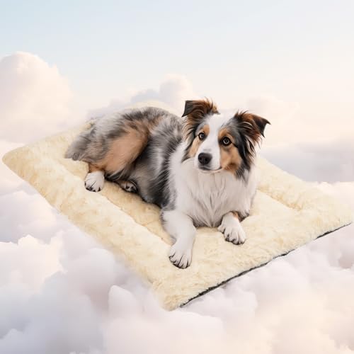 Mora Pets Hundedecke Flauschig Hundematte Waschbar und rutschfest Hundekissen für Kleine Mittelgroße Grosse Hundebett Weiches und Kuschelig Hunde Decke, 89 x 56 cm Mora Pets Hundedecke Flauschig Hundematte Waschbar und rutschfest Hundekissen für Kleine Mittelgroße Grosse Hundebett Weiches und Kuschelig Hunde Decke, 89 x 56 cm von Mora Pets