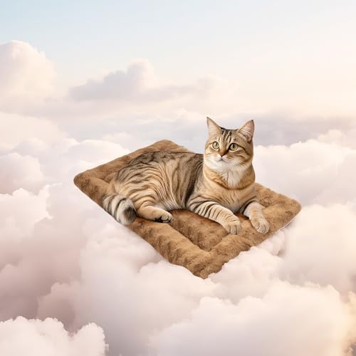 Mora Pets Katzendecke für Katzen Katzenkissen Flauschig Katzenbett Waschbar und rutschfest Katze Decke Kuscheldecke für Kleine Mittelgroße Grosse Katzen, 53 x 33 cm Mora Pets Katzendecke für Katzen Katzenkissen Flauschig Katzenbett Waschbar und rutschfest Katze Decke Kuscheldecke für Kleine Mittelgroße Grosse Katzen, 53 x 33 cm von Mora Pets