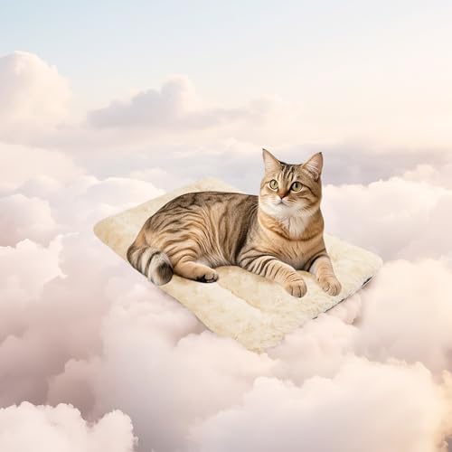 Mora Pets Katzendecke für Katzen Katzenkissen Flauschig Katzenbett Waschbar und rutschfest Katze Decke Kuscheldecke für Kleine Mittelgroße Grosse Katzen, 53 x 33 cm Mora Pets Katzendecke für Katzen Katzenkissen Flauschig Katzenbett Waschbar und rutschfest Katze Decke Kuscheldecke für Kleine Mittelgroße Grosse Katzen, 53 x 33 cm von Mora Pets