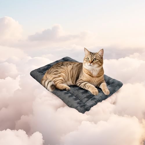 Mora Pets Katzendecke für Katzen Katzenkissen Flauschig Katzenbett Waschbar und rutschfest Katze Decke Kuscheldecke für Kleine Mittelgroße Grosse Katzen, Grau 53 x 33 cm von Mora Pets