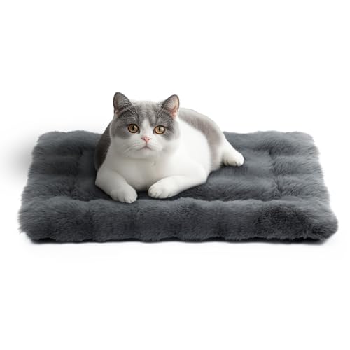 Mora Pets Katzendecke für Katzen Katzenkissen Flauschig Katzenbett Waschbar und rutschfest Katze Decke Warme Kuscheldecke für Kleine Mittelgroße Grosse Katzen Dunkelgrau 56 x 35.5 cm Mora Pets Katzendecke für Katzen Katzenkissen Flauschig Katzenbett Waschbar und rutschfest Katze Decke Warme Kuscheldecke für Kleine Mittelgroße Grosse Katzen Dunkelgrau 56 x 35.5 cm von Mora Pets