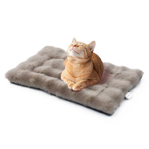 Mora Pets Katzendecke für Katzen Katzenkissen Flauschig Katzenbett Waschbar und rutschfest Katzen Decke Warme Kuscheldecke für Kleine Mittelgroße Grosse Katzen Braun 56 x 35.5 cm Mora Pets Katzendecke für Katzen Katzenkissen Flauschig Katzenbett Waschbar und rutschfest Katzen Decke Warme Kuscheldecke für Kleine Mittelgroße Grosse Katzen Braun 56 x 35.5 cm von Mora Pets