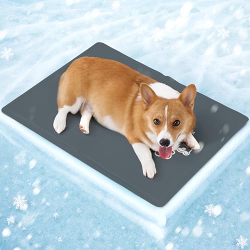 Mora Pets Kühlmatte Hund Kühldecke Hunde Katzen mit Ungiftiges Gel Hundekühlmatte Selbstkühlend Kratzfest Kühlkissen Kühlende Hundematte für Klein Haustiere Sommer - Grau M 65 x 50 cm von Mora Pets
