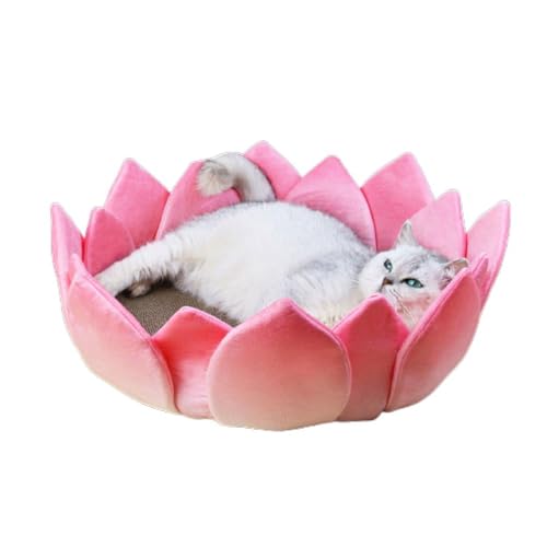 Cat Scratcher Toy LotusShape Scratching Board Scratching Toy Kitten Scratcher Bed Toy Furniture Protector Pet Favor Gift Cat Scratch Pad Cat Bed Cat Scratcher Cat Scratcher Toy LotusShape Scratching Board Scratching Toy Kitten Scratcher Bed Toy Furniture Protector Pet Favor Gift Cat Scratch Pad Cat Bed Cat Scratcher von Morain