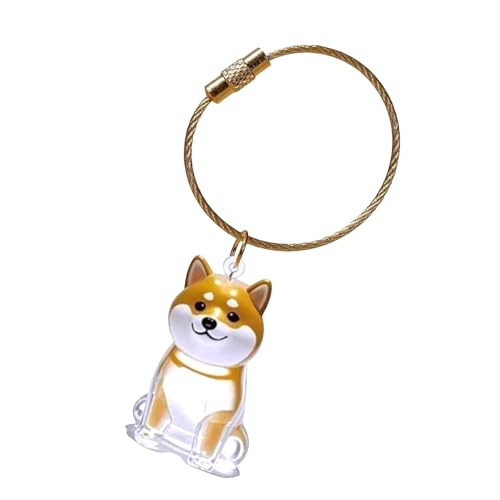 Gedenk-Schlüsselanhänger für Haustiere, leicht, zum Tragen von Hundehaaren, in transparenter Box, Hundehaar-Schmuckschatulle Gedenk-Schlüsselanhänger für Haustiere, leicht, zum Tragen von Hundehaaren, in transparenter Box, Hundehaar-Schmuckschatulle von Morain