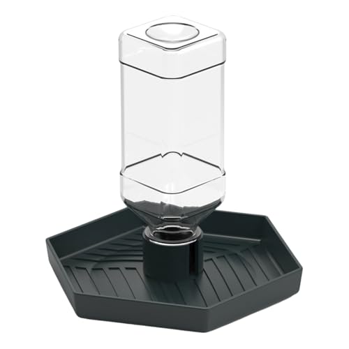 Morain Automatischer Wasserspender für Reptilien, einfacher Futterspender, Wassernapf für Schildkröten und Eidechsen, Anticlip Pet Morain Automatischer Wasserspender für Reptilien, einfacher Futterspender, Wassernapf für Schildkröten und Eidechsen, Anticlip Pet von Morain