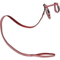 MORE Katzengeschirr Royal mit Leine reflektierend rot MORE Katzengeschirr Royal mit Leine reflektierend rot von More