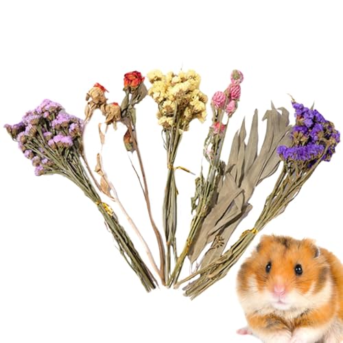 Hamster-Bettwäsche für Hamster, Trockenblumen, Kleintierblumen, Lebensraumdekoration, Mäuse-Lebensraum-Dekoration, natürliche Hamster-Bettwäsche Blumen, natürliche - für Hamster, Igel Hamster-Bettwäsche für Hamster, Trockenblumen, Kleintierblumen, Lebensraumdekoration, Mäuse-Lebensraum-Dekoration, natürliche Hamster-Bettwäsche Blumen, natürliche - für Hamster, Igel von Moreeulsi