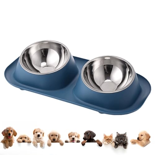 Moreeulsi Hundefutter Wassernapf | Edelstahl Doppelnapf | Wiederverwendbare Haustier Wasser und Futter Feeder Schalen für Katzen, Welpen, kleine und mittelgroße Haustiere Moreeulsi Hundefutter Wassernapf | Edelstahl Doppelnapf | Wiederverwendbare Haustier Wasser und Futter Feeder Schalen für Katzen, Welpen, kleine und mittelgroße Haustiere von Moreeulsi