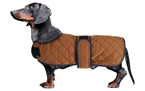 MOREZI Dackel Hund Winterjacke. wasserdichte Hundejacke. Mit Wolle, inneren und verstellbaren Schultergurten. Hundekleidung im Freien-Braun-M von Morezi