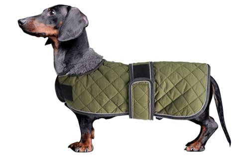 MOREZI Dackel Hund Winterjacke. wasserdichte Hundejacke. Mit Wolle, inneren und verstellbaren Schultergurten. Hundekleidung im Freien-Grün-M von Morezi