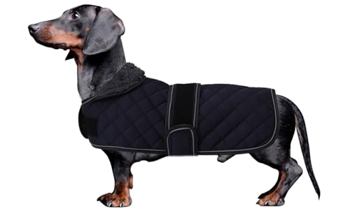 MOREZI Dackel Hund Winterjacke. wasserdichte Hundejacke. Mit Wolle, inneren und verstellbaren Schultergurten. Hundekleidung im Freien-Marine-Blau-L MOREZI Dackel Hund Winterjacke. wasserdichte Hundejacke. Mit Wolle, inneren und verstellbaren Schultergurten. Hundekleidung im Freien-Marine-Blau-L von Morezi