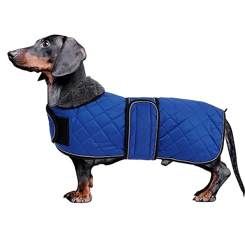 MOREZI Dackel Hund Winterjacke. wasserdichte Hundejacke. Mit Wolle, inneren und verstellbaren Schultergurten. Hundekleidung im Freien-Navy-S von Morezi