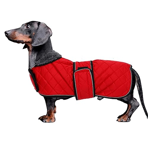 MOREZI Dackel Hund Winterjacke. wasserdichte Hundejacke. Mit Wolle, inneren und verstellbaren Schultergurten. Hundekleidung im Freien-Rot-XS von Morezi