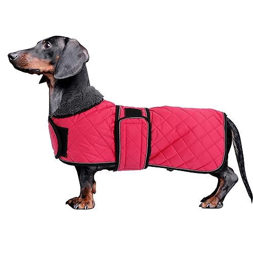 MOREZI Dackel Hund Winterjacke. wasserdichte Hundejacke. Mit Wolle, inneren und verstellbaren Schultergurten. Hundekleidung im Freien-Pink-L von Morezi