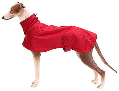 Morezi Greyhound Winterjacke, wasserdichte Außenschicht, Fleecefutter, mit verstellbarem Klettverschluss und Sicherheitsgurtloch, geeignet für mittlere und große Hunde-Rot-XXL von Morezi