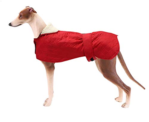 MOREZI Hundejacke, Wintermäntel, mit warmem Fleecefutter, verstellbarem Schultergurt und Klettverschluss für Wärme und Komfort-Rot-L von Morezi