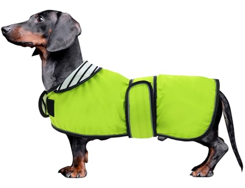 MOREZI Hunderegenmantel mit Reflexstreifen, Regen-/wasserdicht, verstellbare Weste, geeignet für kleine und mittelgroße Hunde wie Dackel-Grün-M von Morezi