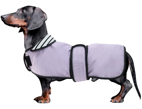 MOREZI Hunderegenmantel mit Reflexstreifen, Regen-/wasserdicht, verstellbare Weste, geeignet für kleine und mittelgroße Hunde wie Dackel-Lila-S von Morezi