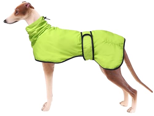MOREZI Hunderegenmantel mit Stehkragen, Wasser- und Winddicht, mit reflektierenden Streifen und Verstellbarer magischer Schnalle, geeignet für Windhunde und Whippets-Neongrün-XXL MOREZI Hunderegenmantel mit Stehkragen, Wasser- und Winddicht, mit reflektierenden Streifen und Verstellbarer magischer Schnalle, geeignet für Windhunde und Whippets-Neongrün-XXL von Morezi